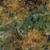 Timeless Treasures Fabrics Farm Sweet Home Tonga Batiks Harvest Thistle Blooms