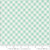 Moda Fabrics Summertime Camille Roskelley Picnic Checks and Plaids  Ice Aqua
