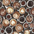 Timeless Treasures Fabrics Espresso Yourself Rise And Grind Coffee Cups Black