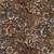 Timeless Treasures Fabrics Tonga Batiks Juniper Bark Brown Harvest Floral