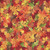 Timeless Treasures Fabrics Gather with a Grateful Heart Harvest Fallen Packed Leaves Autumn, autumn leaves in various shades of red, orange, yellow, green, and brown.