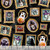 Timeless Treasures Fabrics Pick Your Poison Halloween Dog Halloween Portraits Black, fabric featuring framed portraits of dogs dressed in Halloween costumes like witches, vampires, and monsters, with spider webs on a black background.