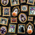 Timeless Treasures Fabrics Pick Your Poison Halloween Dog Halloween Portraits Black