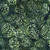 Timeless Treasures Fabrics Tonga Batik Mistletoe Pine Cones Green Pine