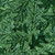 Timeless Treasures Fabrics Tonga Batik Mistletoe Oak Leaf Green Hunter