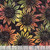 Timeless Treasures Fabrics Tonga Batiks Hayride Sunflowers Autumn, fabric with a sunflower print in autumn colors with black background and leafy accents