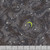 Andover Fabrics Phantasm by Libs Elliott Grey Moths