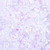 Timeless Treasures Fabrics Mayfair Tonga Batiks Wing and a Prayer Wisteria Purple Geo Lines Dots