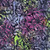 Timeless Treasures Fabrics Mayfair Tonga Batiks Wing and a Prayer Majesty Floral Blossom