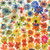 FreeSpirit Fabrics Pompadours in Pink by Carolyn Gavin Color Riot Rainbow