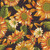 Studio E Fabrics Autumn Fields Art Loft Yellow Gold Sunflowers on Black