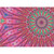 Hoffman Fabrics Bubblelicious Marlies 108 Inch Wide Quilt Back Pink
