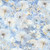 Timeless Treasures Fabrics Floral  Forest Whisper Misty Sky Blue Packed Dandelions