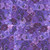 Clothworks Fabrics Cedar West Purple Bird Song Pansies