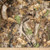 Benartex Fabrics Sykel RealTree Camo Camoflauge Deer in The Woods Polar Polar Fleece