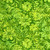 Timeless Treasures Fabrics Tonga Batiks Valley Blossom Sprout Spring Floral, a vibrant green fabric with a floral and leafy pattern in various shades of green.