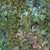 Timeless Treasures Fabrics Tonga Batiks Valley Blossom Valley Falling Leaves