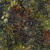 Timeless Treasures Fabrics Tonga Batiks Valley Blossom Olive Fiesta Flower