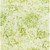Timeless Treasures Fabrics Tonga Batiks Wallflowers Celery Midnight Florals