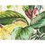Hamilton Fabrics Maui Tropics Tropical Floral