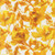 Moda Fabrics Radiant Amarilys Henderson Poppies Florals Watercolor Sunshine Yellow
