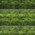 Quilting Treasures Dan Morris Earthly Delights Green Grassy Fields