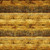 Quilting Treasures Dan Morris Earthly Delights Golden Yellow Grassy Fields