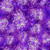 Quilting Treasures Fabrics Feline Fantasia Dan Morris Purple Oil on Water Marble