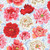 Free Spirit Fabrics Kaffe Fassett 108 Inch Wide Quilt Backs Philip Jacobs Brocade Peony Natural