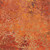 In The Beginning Evanescence by Jason Yenter Orange Daisies