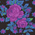Kaffe Fassett Collective for FreeSpirit Fabrics February 2026 by Kaffe Fassett Rosie Cool, floral fabric with large pink roses and smaller pink flowers on a black background.