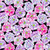 Kaffe Fassett Collective for FreeSpirit Fabrics February 2026 by Philip Jacobs Bouffant Contrast, colorful floral fabric pattern with pink, purple, and white flowers on a black background.