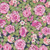 Andover Fabrics Fairytales by Tiffany Lauren Nap Times Over Stroke of Midnight