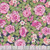 Andover Fabrics Fairytales by Tiffany Lauren Nap Times Over Stroke of Midnight