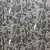 FreeSpirit Fabrics Graywork Minky Fleece by Tula Pink Birthmark Shadow, featuring a pattern of black and white leopards among black tree branches with colorful small stars on a gray background.