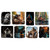 3 Wishes Fabrics Legendary Loner Big Foot Solidary Life Vignettes