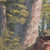 3 Wishes Fabrics Legendary Loner Big Foot Living Sasquatch Life Panel