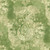 Covington Fabrics Parvati Greenery Green Fortunny Frame Damask