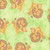 AE Nathan Fabrics Comfy Flannel Prints Green Yellow Lions