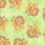 AE Nathan Fabrics Comfy Flannel Prints Green Yellow Lions