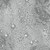 Benartex Harry Potter Gray Magical Basic Stars