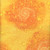 Benartex Harry Potter Yellow Orange Magical Basic Stars