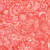 Quilting Treasures Fabrics Mystique Paisley Dan Morris Rose Pink Red