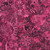 Quilting Treasures Fabrics Mystique Paisley Dan Morris Sangria Red