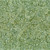 Wilmington Prints Fabrics Desert Blossom Batiks Flowers All Over Olive Green