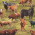Timeless Treasures Fabrics Home On The Range Green Cattle Farm