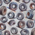 Hoffman Fabrics Hammer Down Grey Hard Working Tires