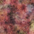 Hoffman Fabrics Wings over Wildflowers Autumn Green Brown Shadow Dragonflies