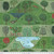FreeSpirit Fabrics Backyard Wonder by Adam Trest Walk in the Wood Scenic