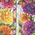 Wilmington Prints Fabrics Dahlia Botanica Nancy Mink Repeating Stripe Multi